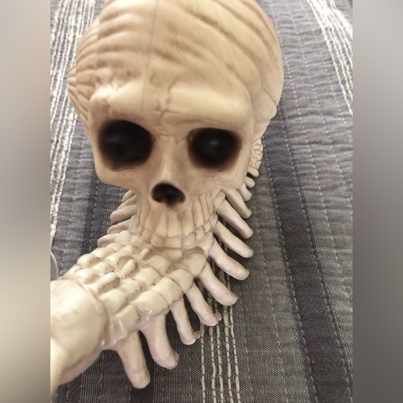 NWT Crazy bonez Snail skeleton Halloween - Picture 3 of 4
